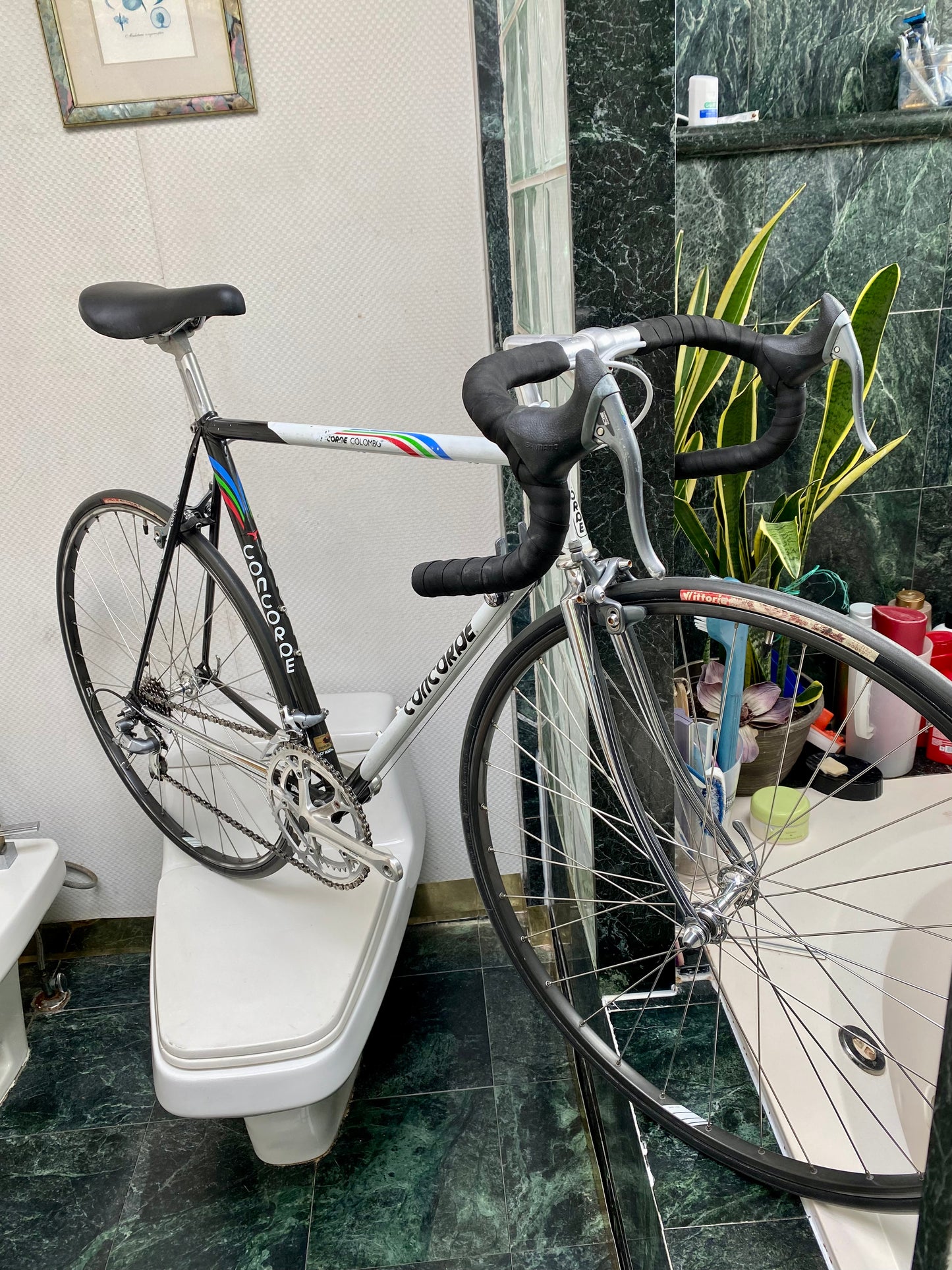 (SIZE 54cm) 1980's CONCORDE COLOMBO ROAD BIKE - SHIMANO 600