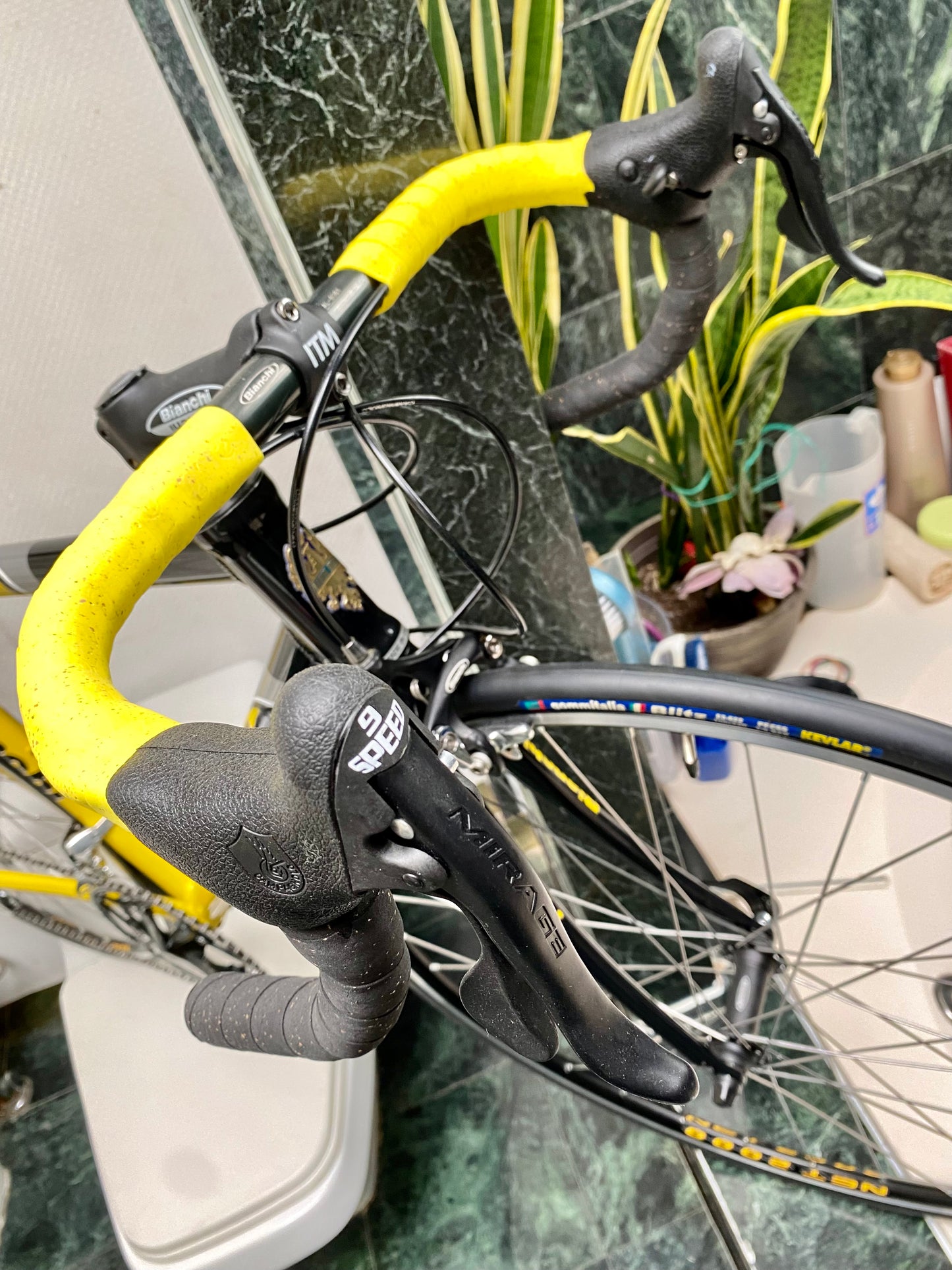 (SIZE 53cm) NOS / BRAND NEW CLASSIC BIANCHI "PRO RACE" ROAD BIKE - CAMPAGNOLO