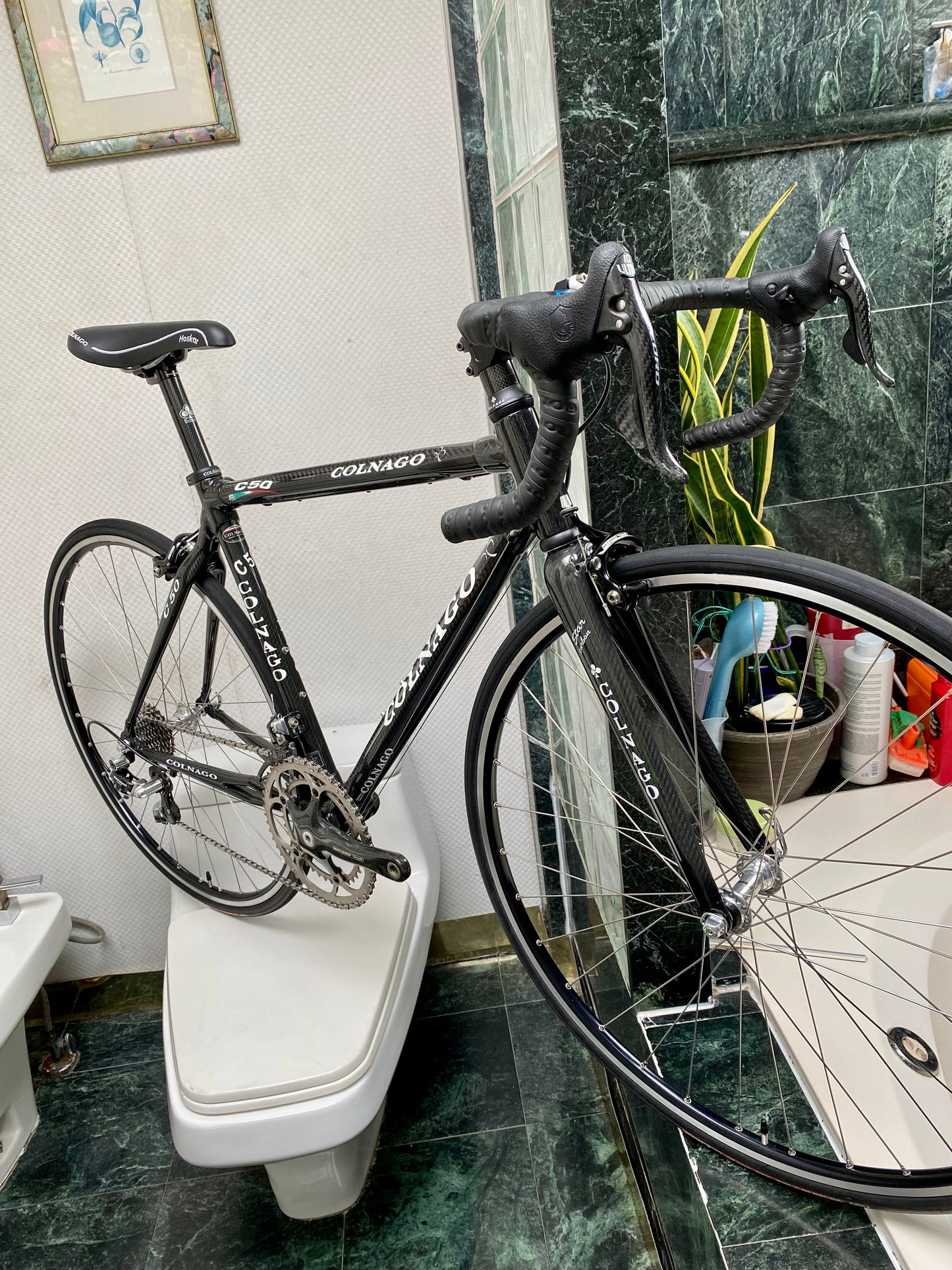 (SIZE 51cm) CLASSIC COLNAGO C50 CARBON ROAD BIKE - CAMPAGNOLO RECORD