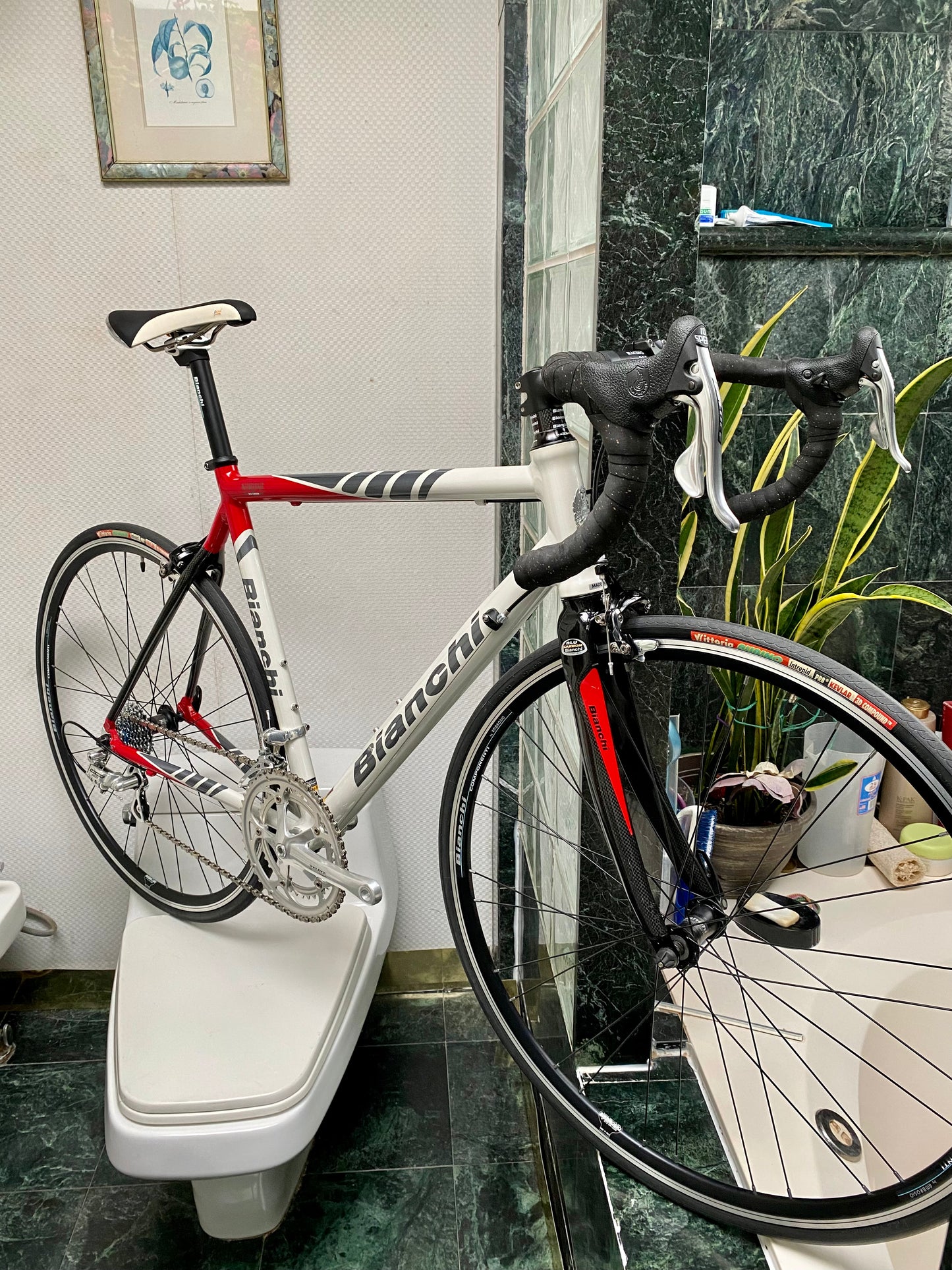 (SIZE 56cm) NOS / BRAND NEW CLASSIC BIANCHI ROAD BIKE - CAMPAGNOLO