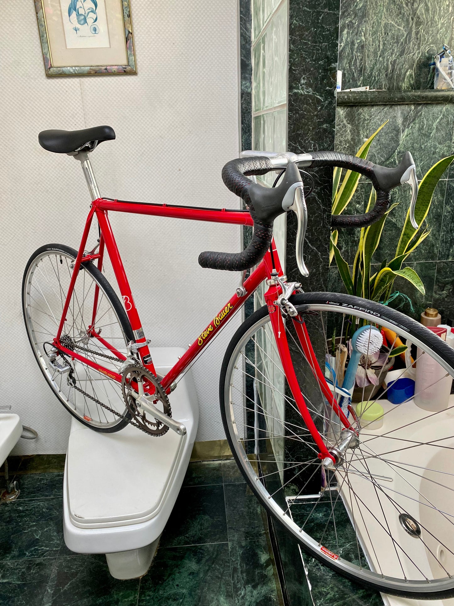 (SIZE 56cm) 1980's STEVE BAUER ROAD BIKE - SHIMANO 600