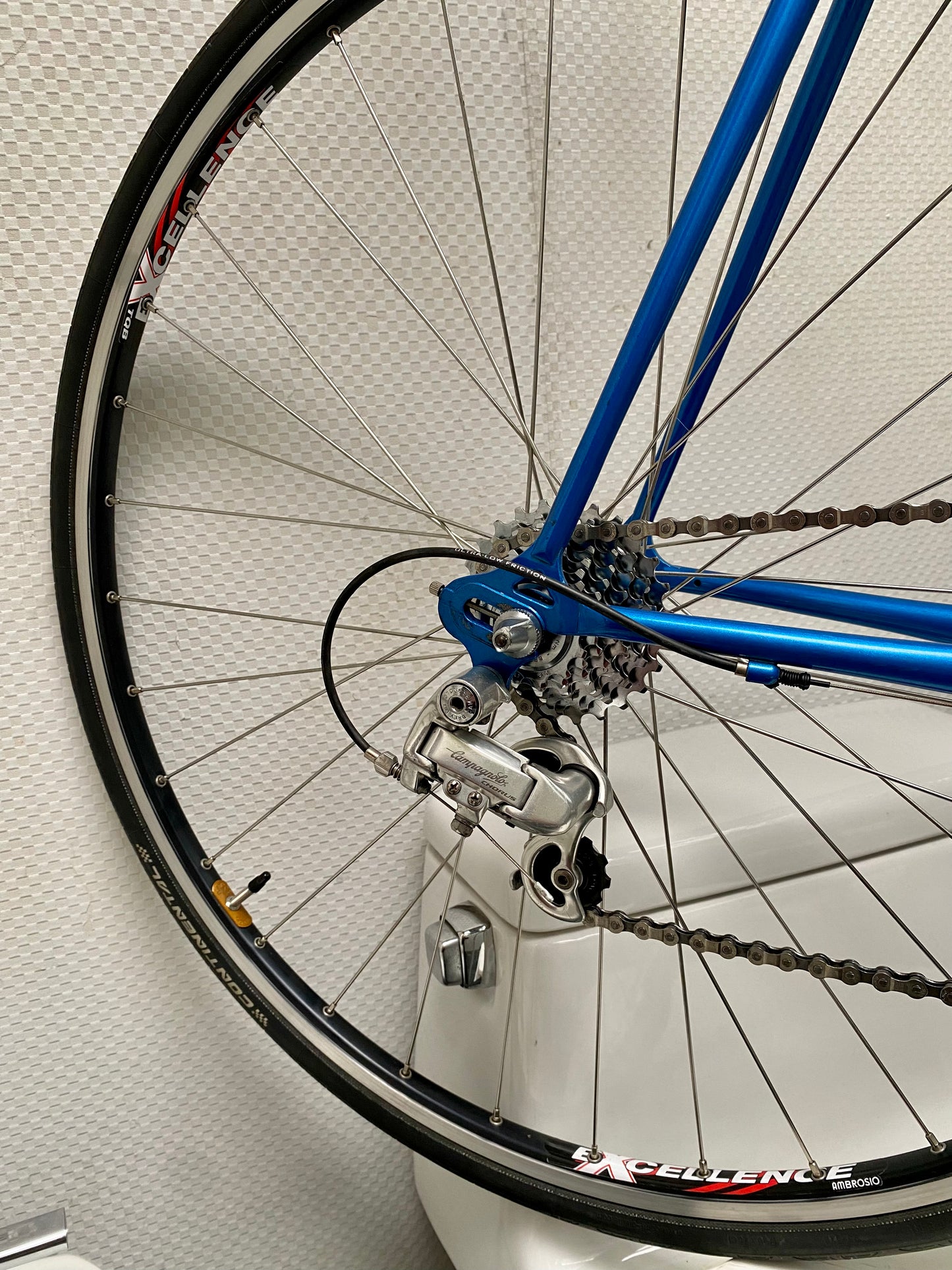 (SIZE 57cm) BASSI CASTERINO ROAD BIKE - CAMPAGNOLO CHORUS