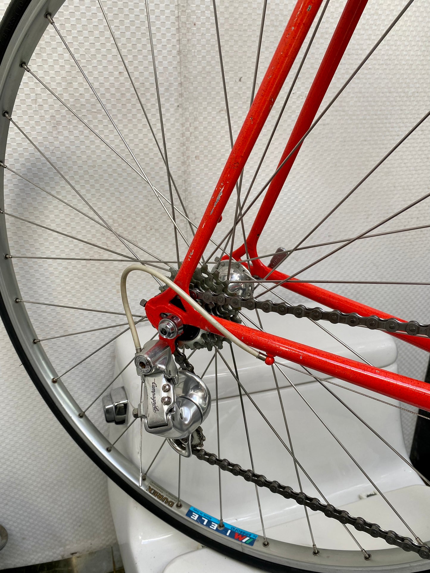 (SIZE 59cm) 1980's MIELE LATINA ROAD BIKE - CAMPAGNOLO ATHENA - COLUMBUS SL