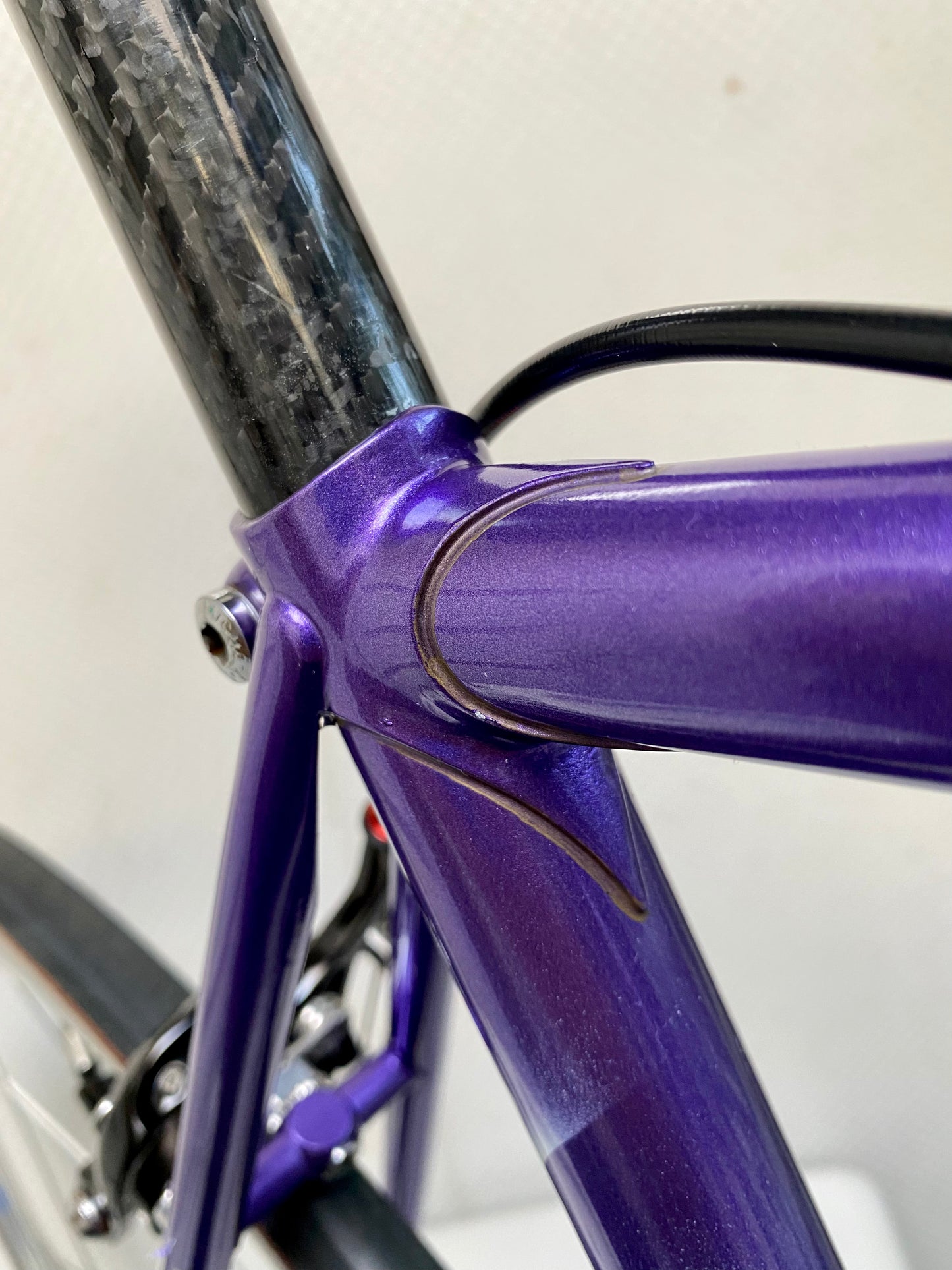 (SIZE 53cm) SENSATIONAL ROSSIN NEO-RETRO BUILD - CAMPAGNOLO CENTAUR CARBON GROUPSET - BEAUTIFUL!!!