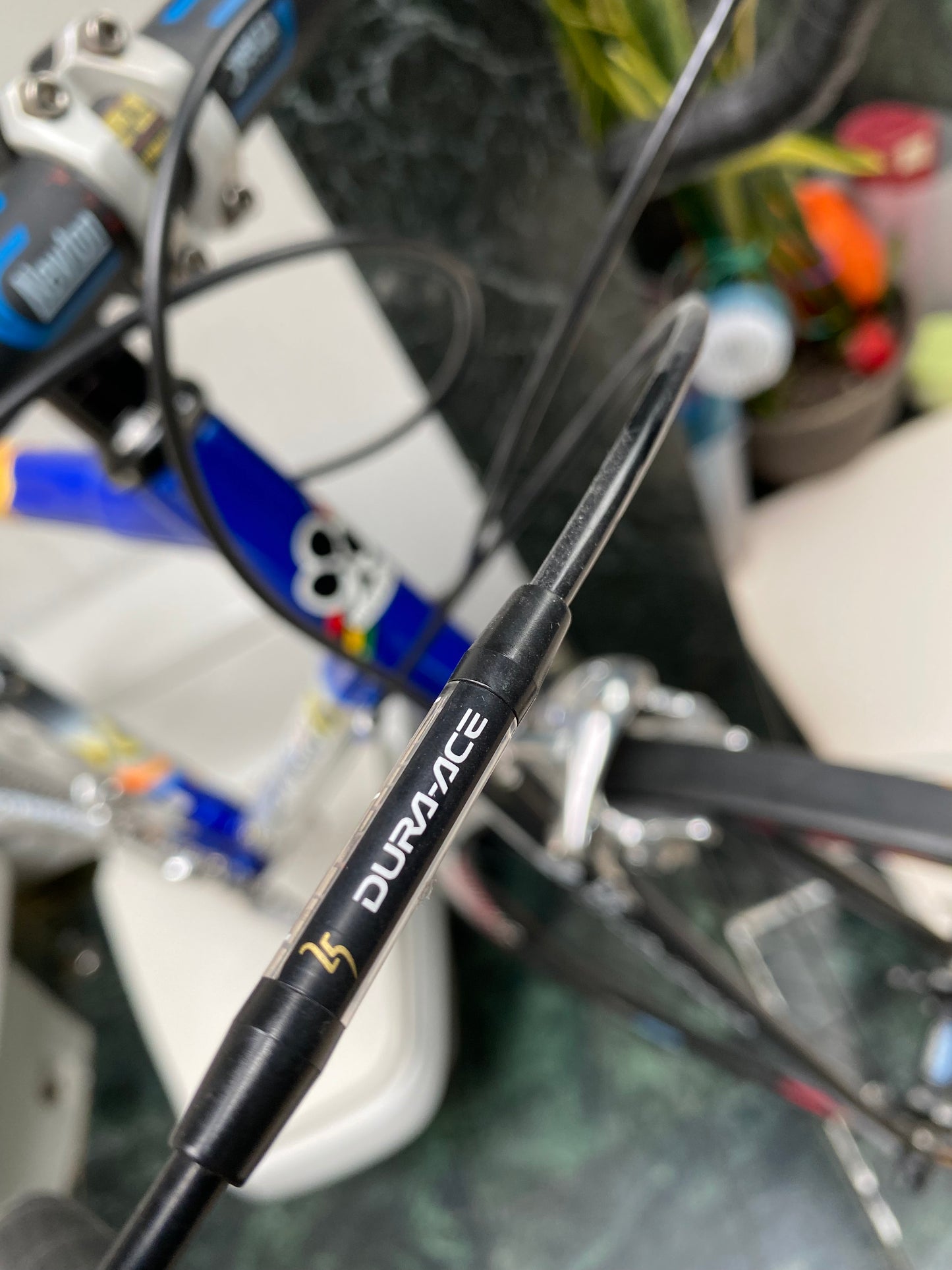 (SIZE 55cm) EARLY-2000's COLNAGO C40 MAPEI - DURA ACE 25th ANNIVERSARY- NEW OLD STOCK