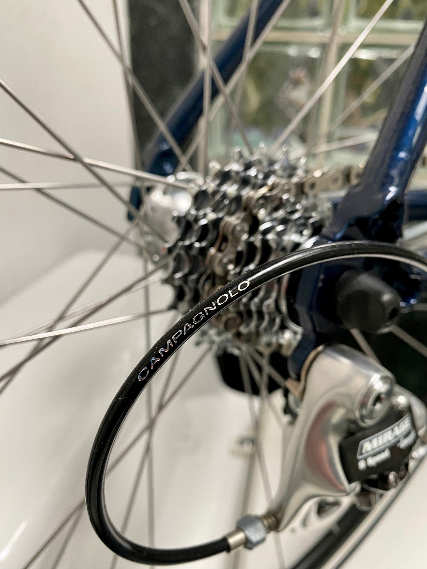 (SIZE 51cm) NOS / BRAND NEW CLASSIC BIANCHI ROAD BIKE - CAMPAGNOLO