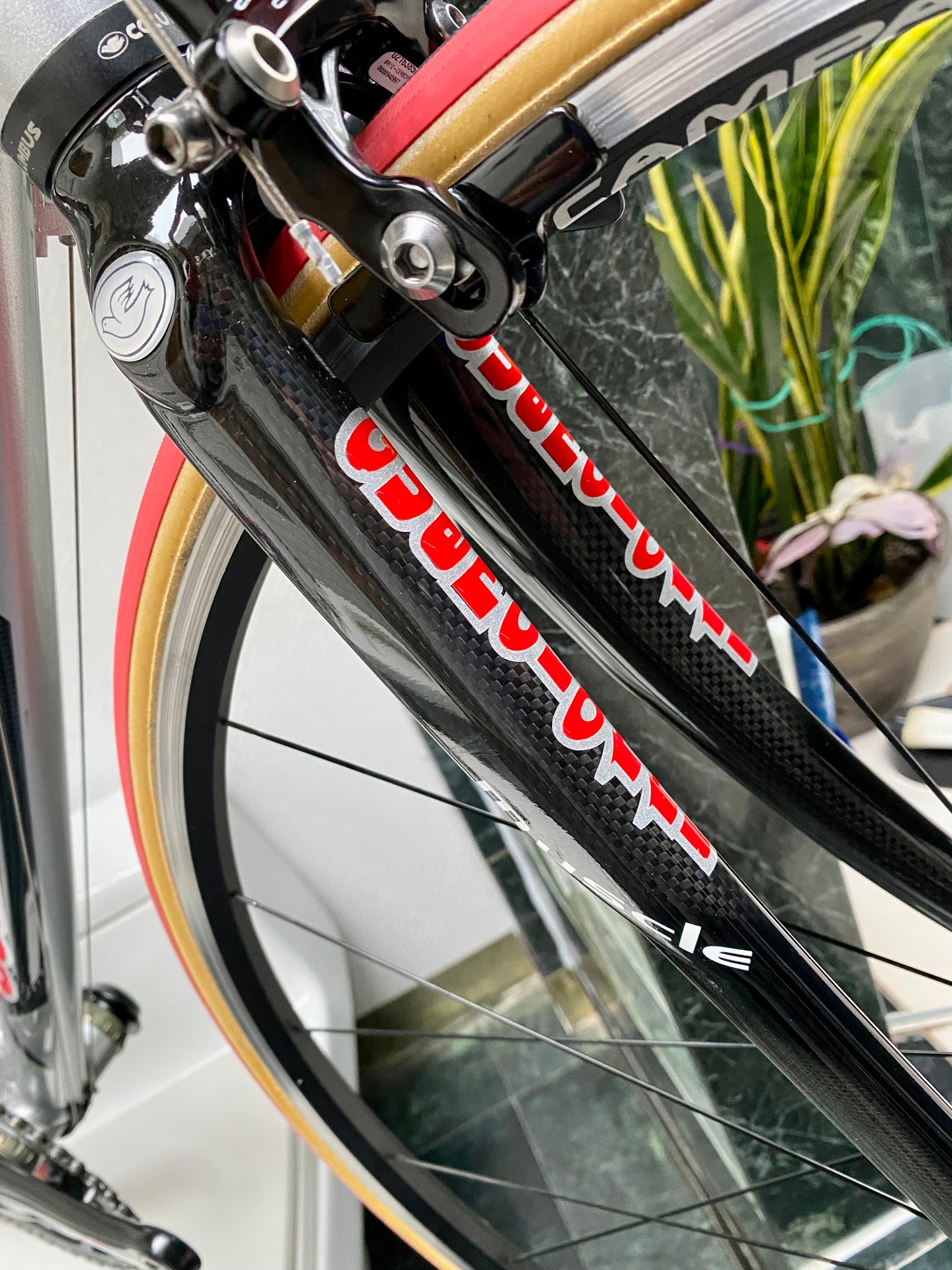 (SIZE 55cm) GUERCIOTTI G35 ROAD BIKE - CAMPAGNOLO CENTAUR - COLUMBUS STARSHIP