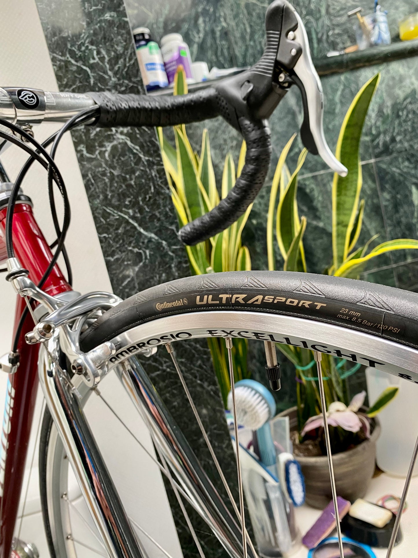 (SIZE 50cm) CUSTOM VENTURI ROAD BIKE - NEO-RETRO - CAMPAGNOLO