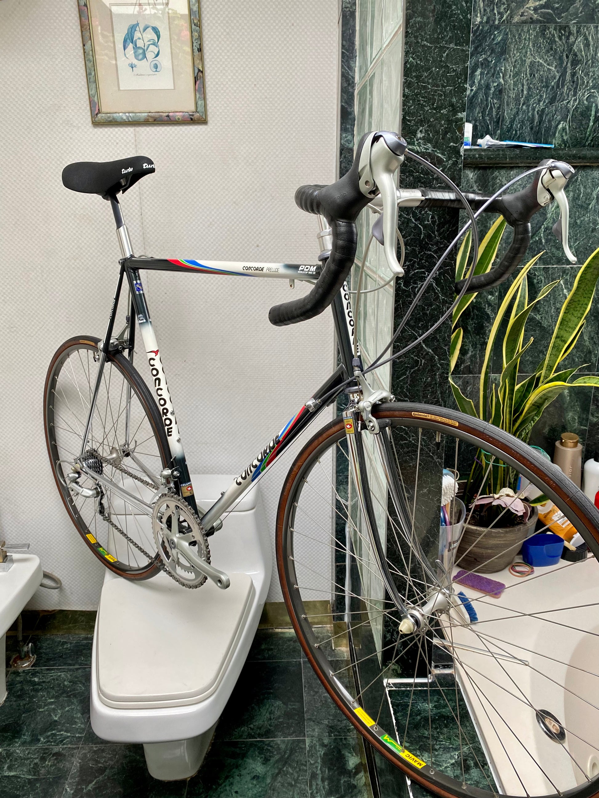 Concorde pdm team bike hotsell