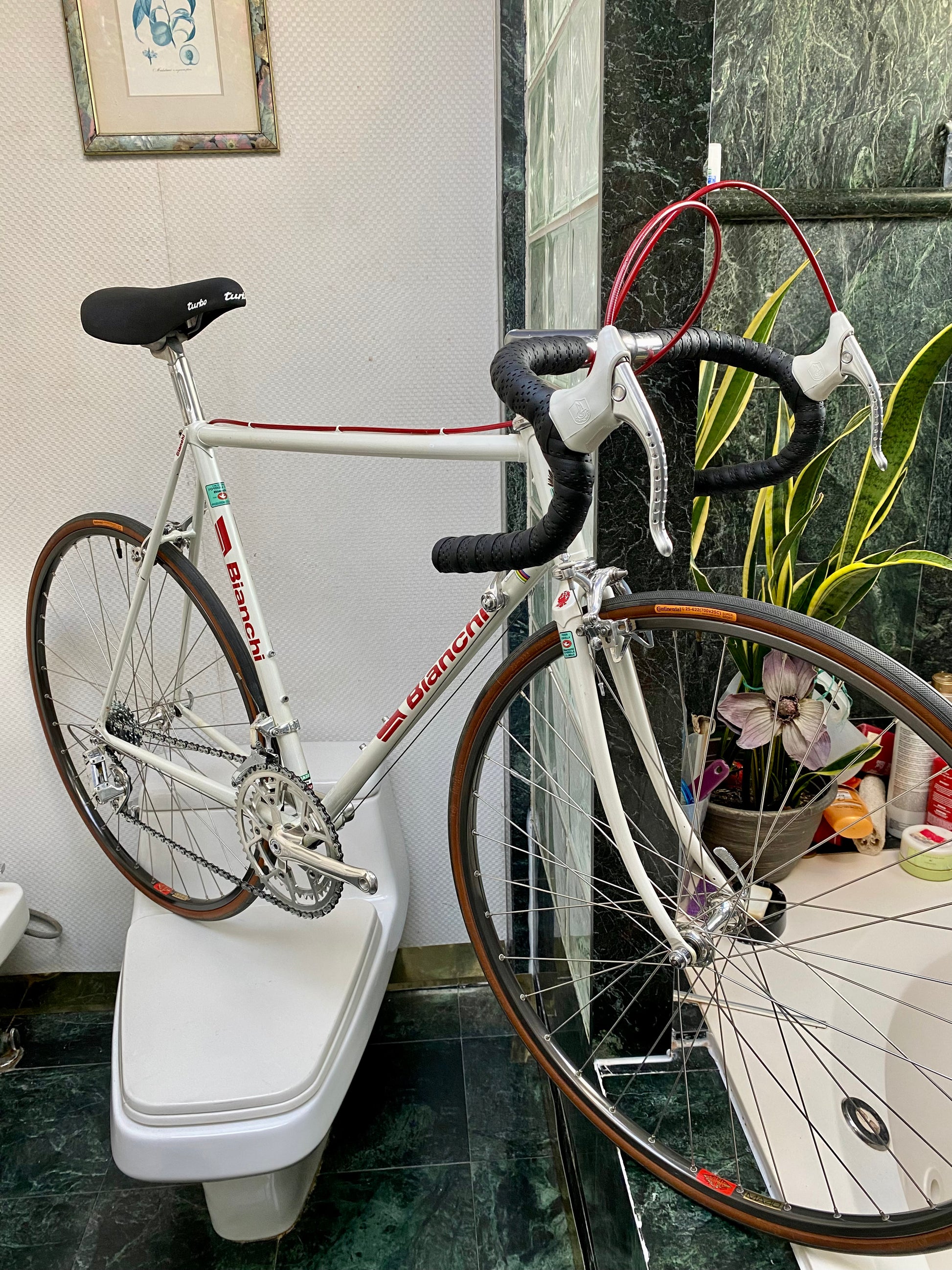 1980 bianchi hotsell road bike