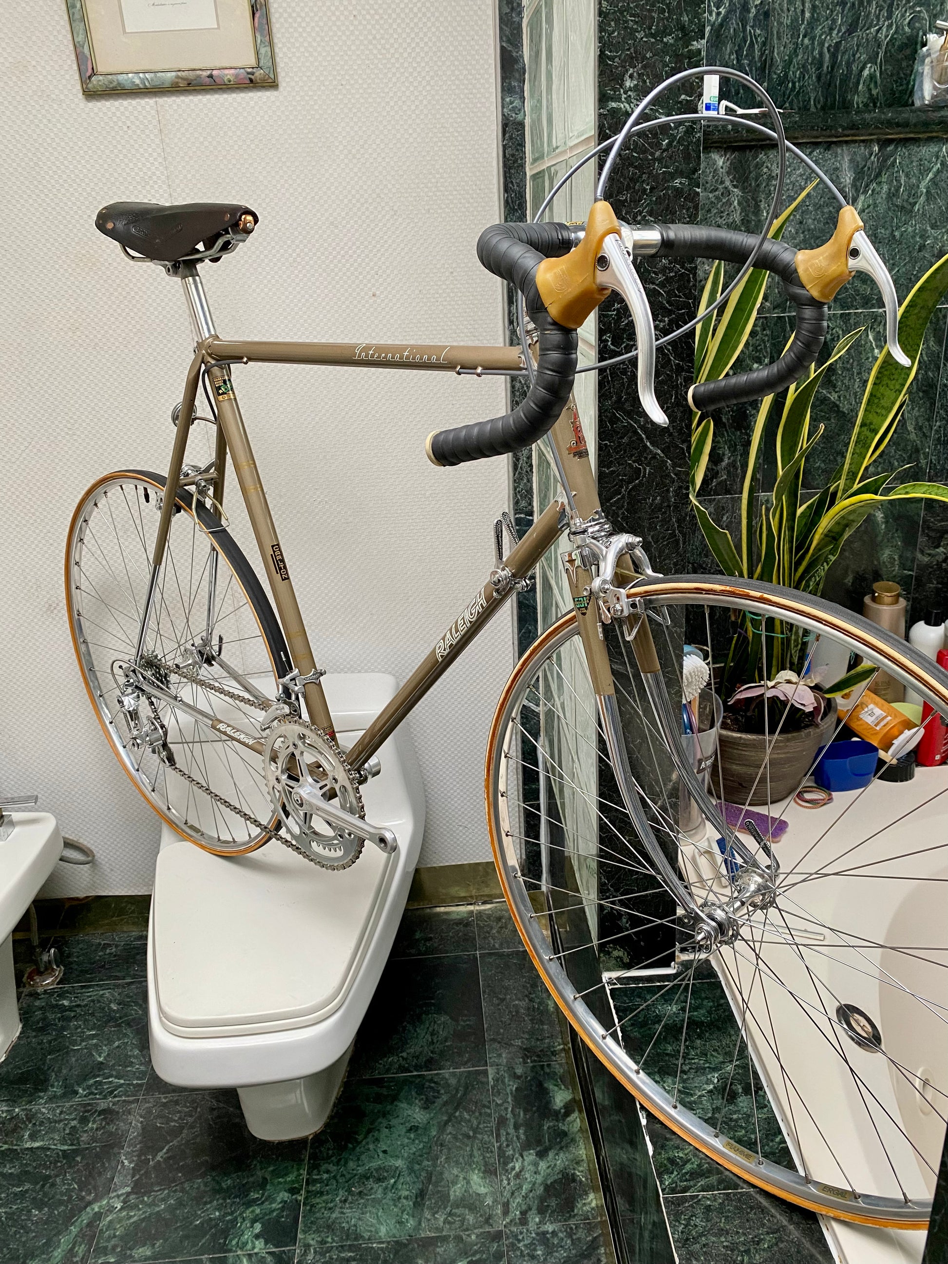 1970 raleigh record road bike hotsell