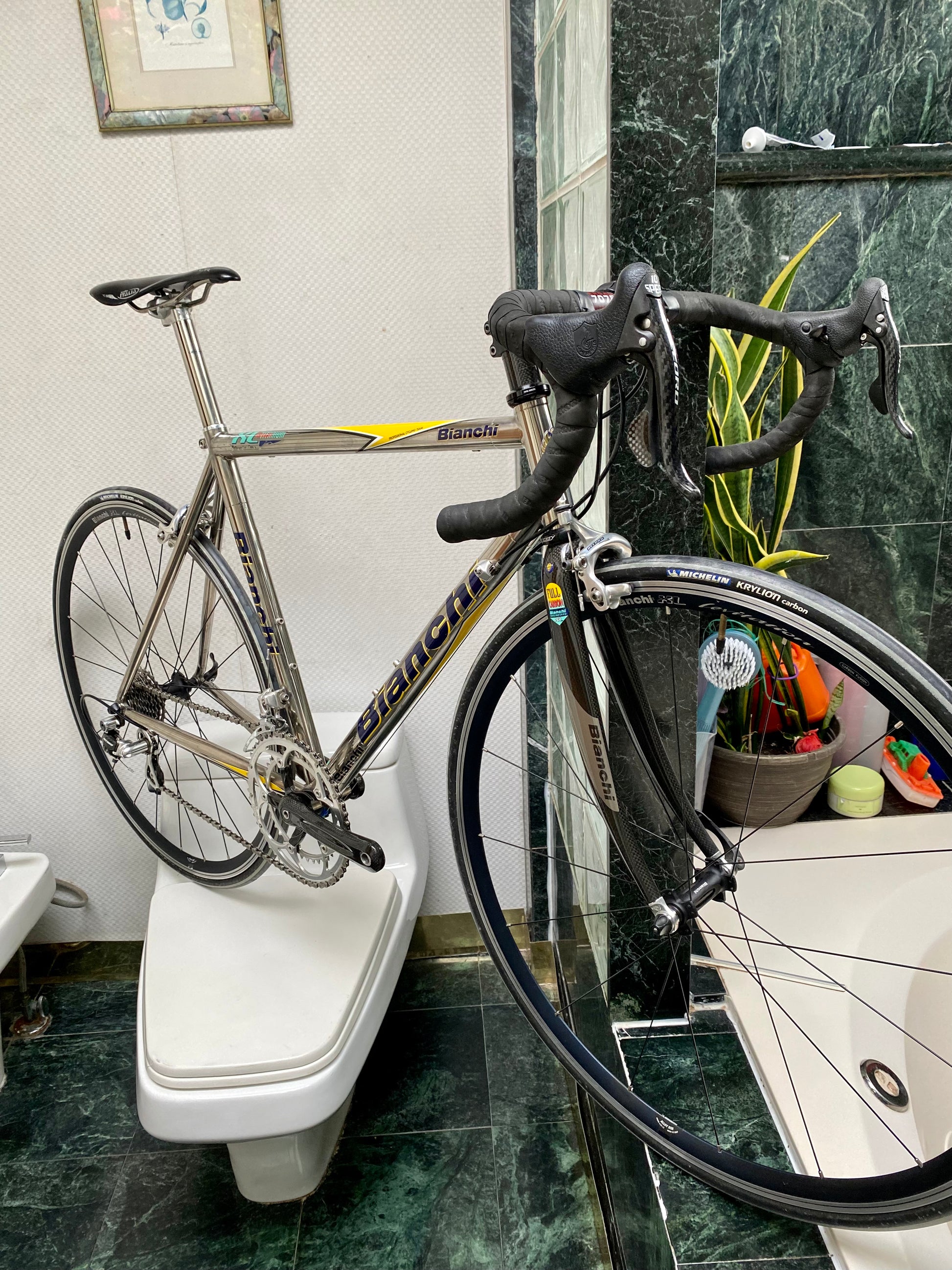 SIZE 54cm 2004 BIANCHI