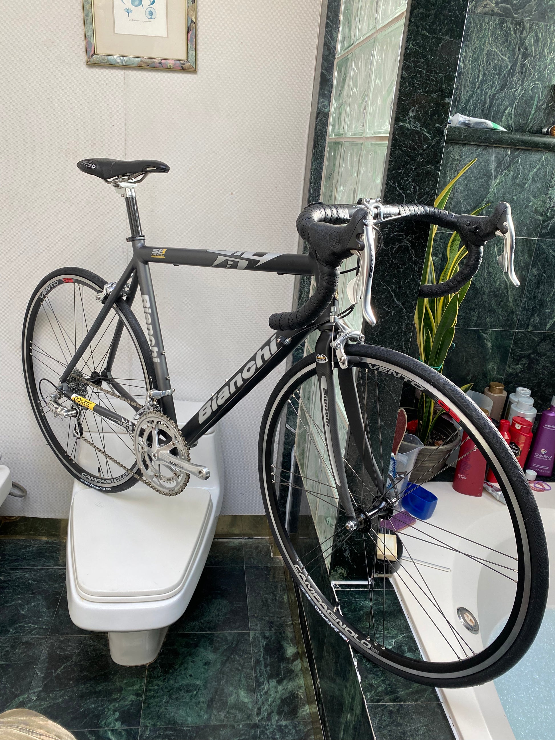 Bianchi 2024 campagnolo bike