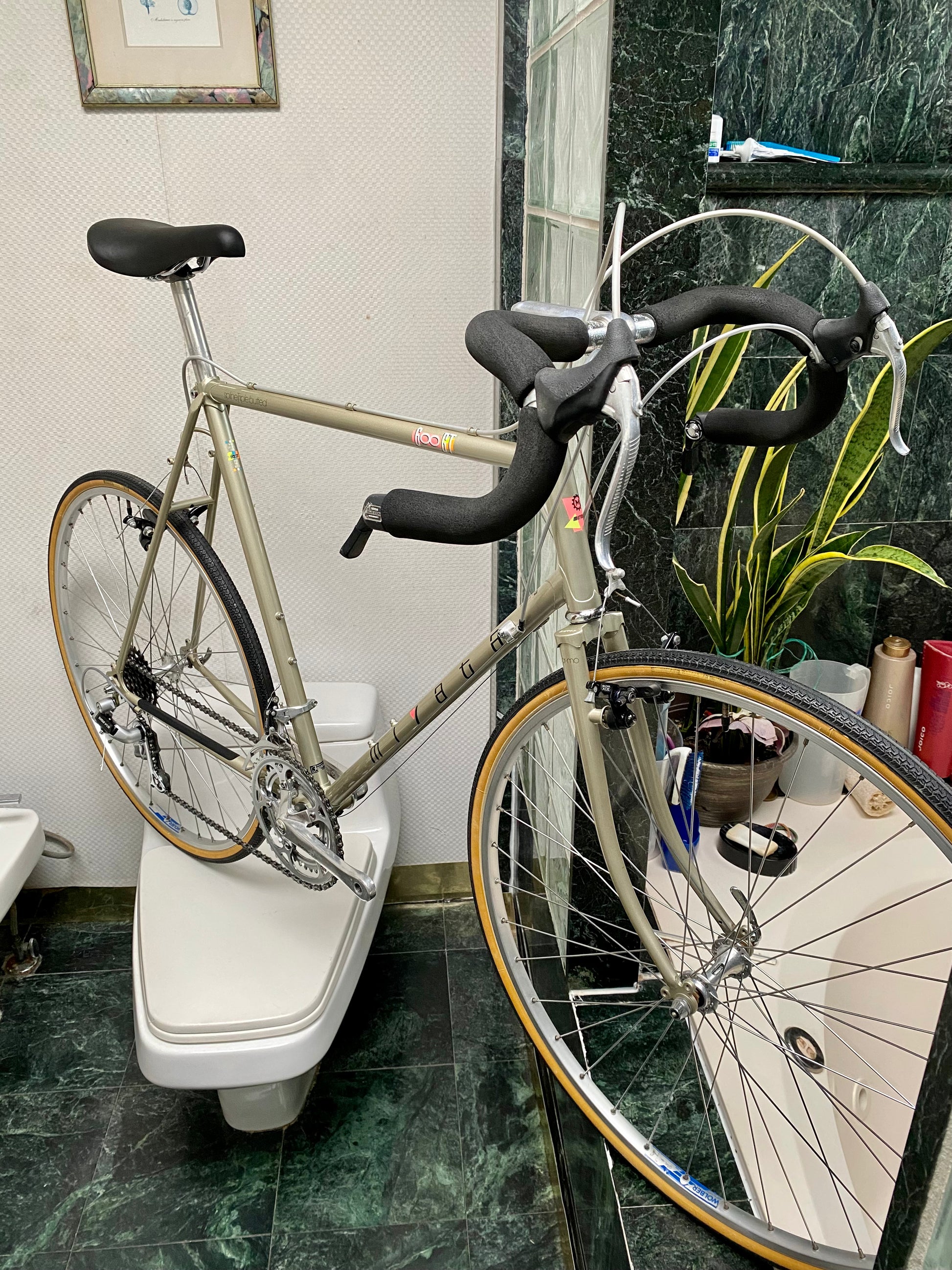 Miyata 600 gt hotsell