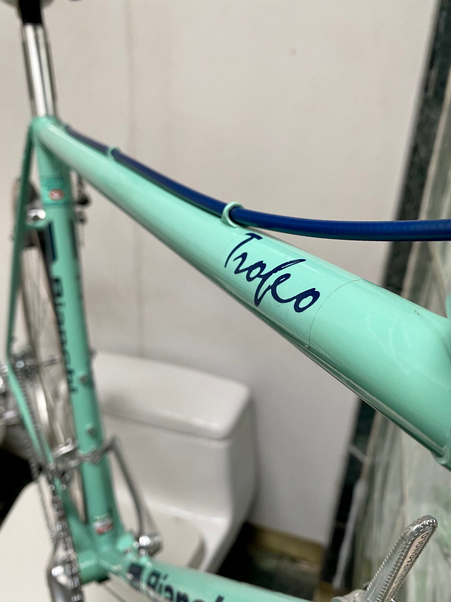 SIZE 53cm 1980 s BIANCHI TROFEO ROAD BIKE CAMPAGNOLO COLUMBUS My Little Bike Shop