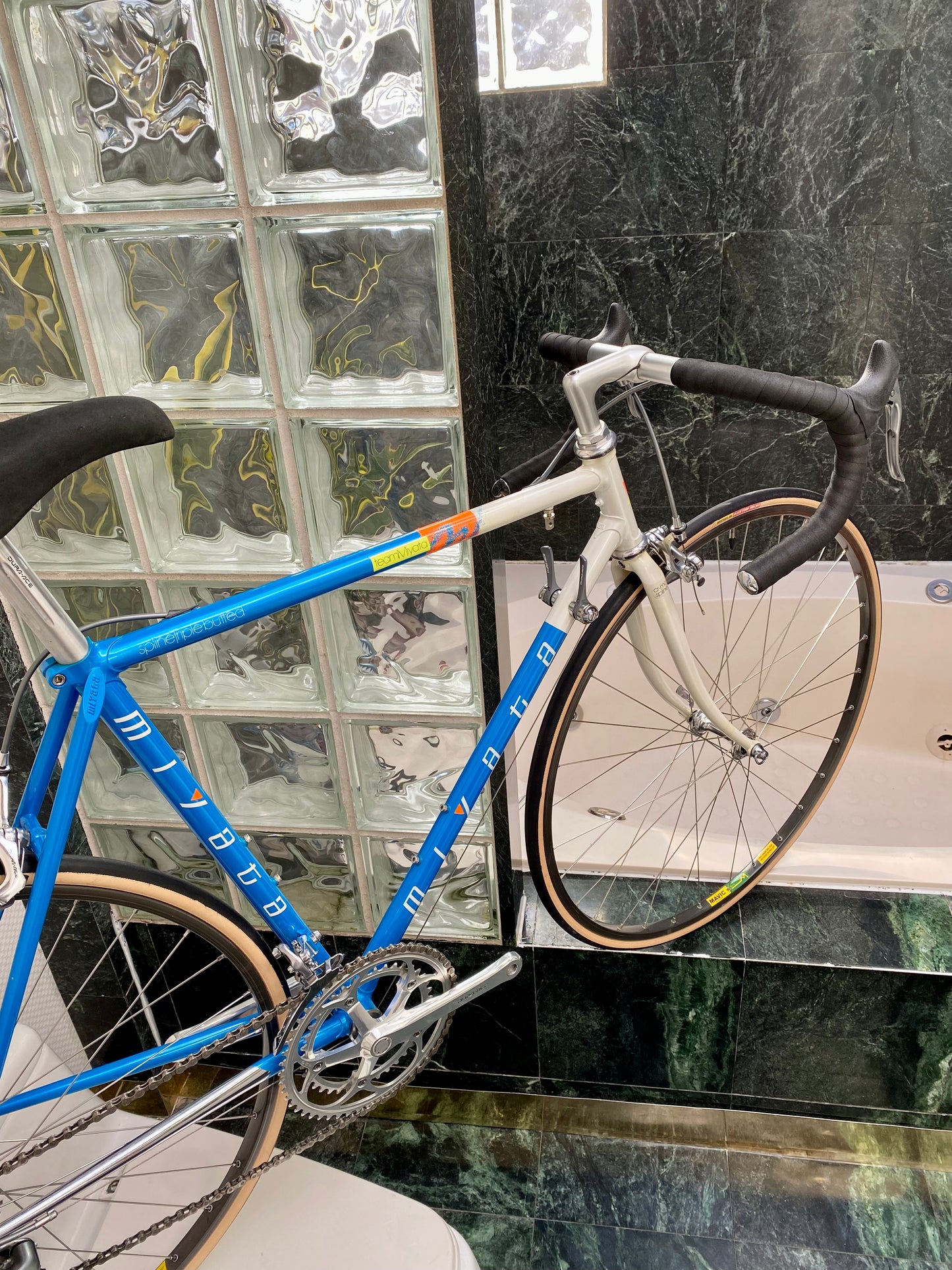 Team miyata hot sale road bike