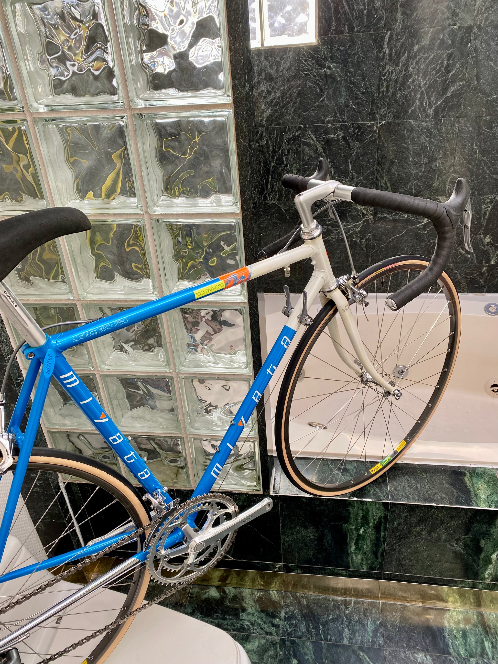 Team miyata for sale sales