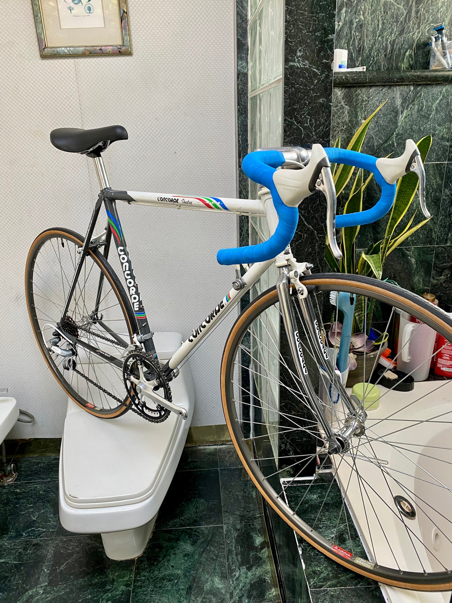 (SIZE 55cm) 1980's CONCORDE ROAD BIKE - FULLY DIALLED!