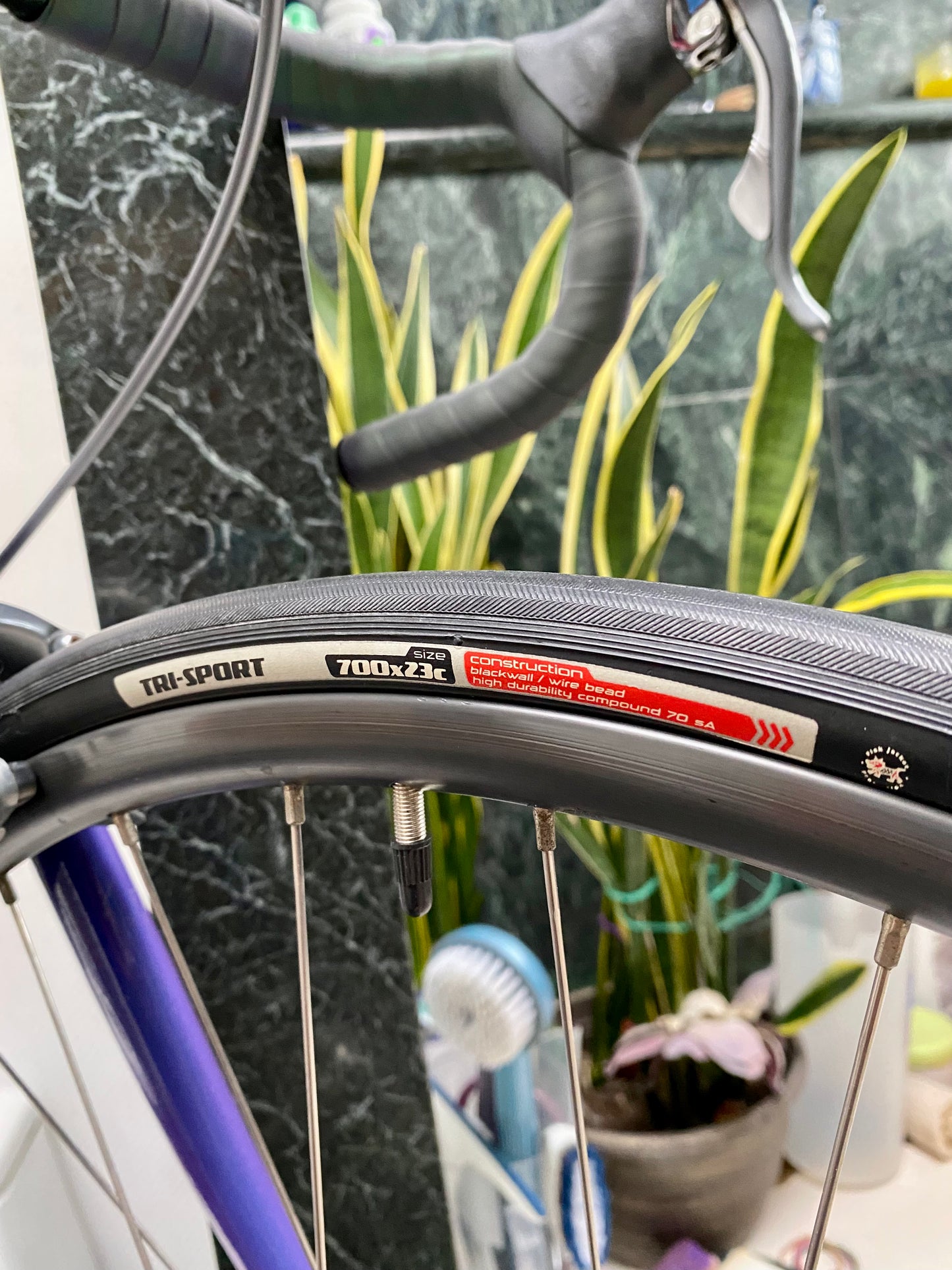 SIZE 54cm 1990 s TREK 2300 CARBON ROAD BIKE SHIMANO 600 STI My Little Bike Shop